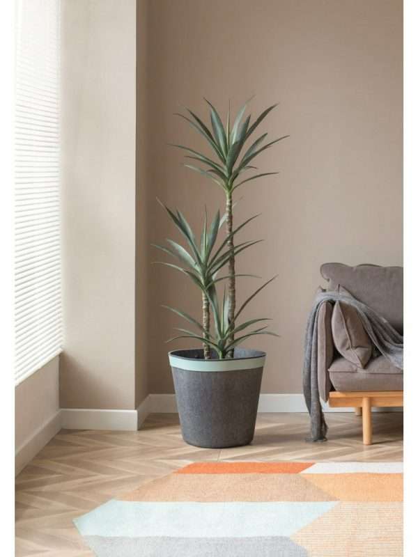 EASY - Image 3