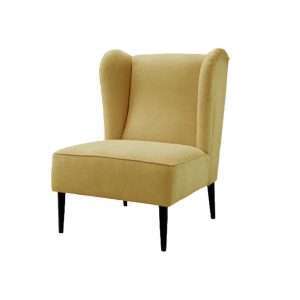 Good Choice Factory Price Durable Accent Chairs Superior Quality Velvet Armchairs